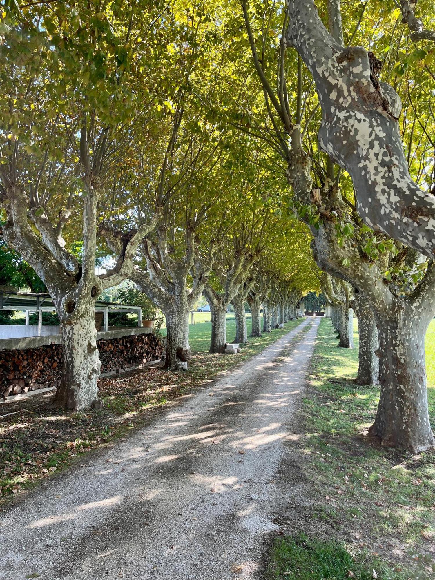 Le Mas Saint Jacques Le Pontet  Exterior photo